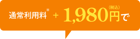 通常利用料※ +1,980円(税込)で